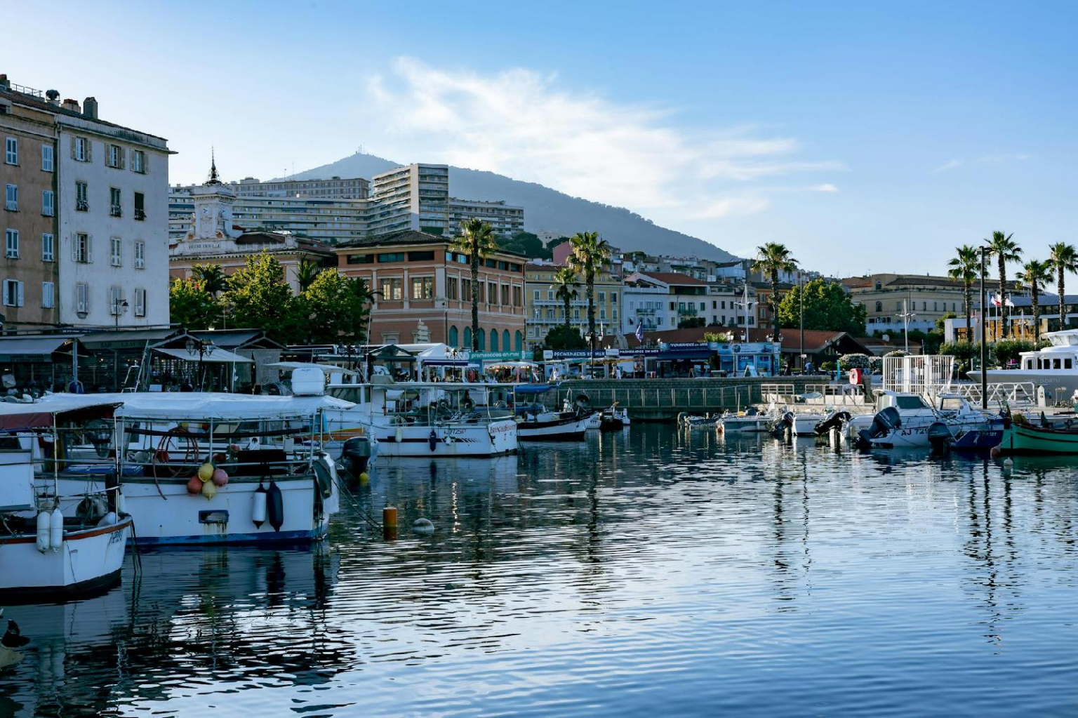Le guide pour choisir le bon ferry pour la Corse : conseils pratiques et avis